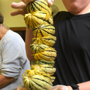 More and more squash!