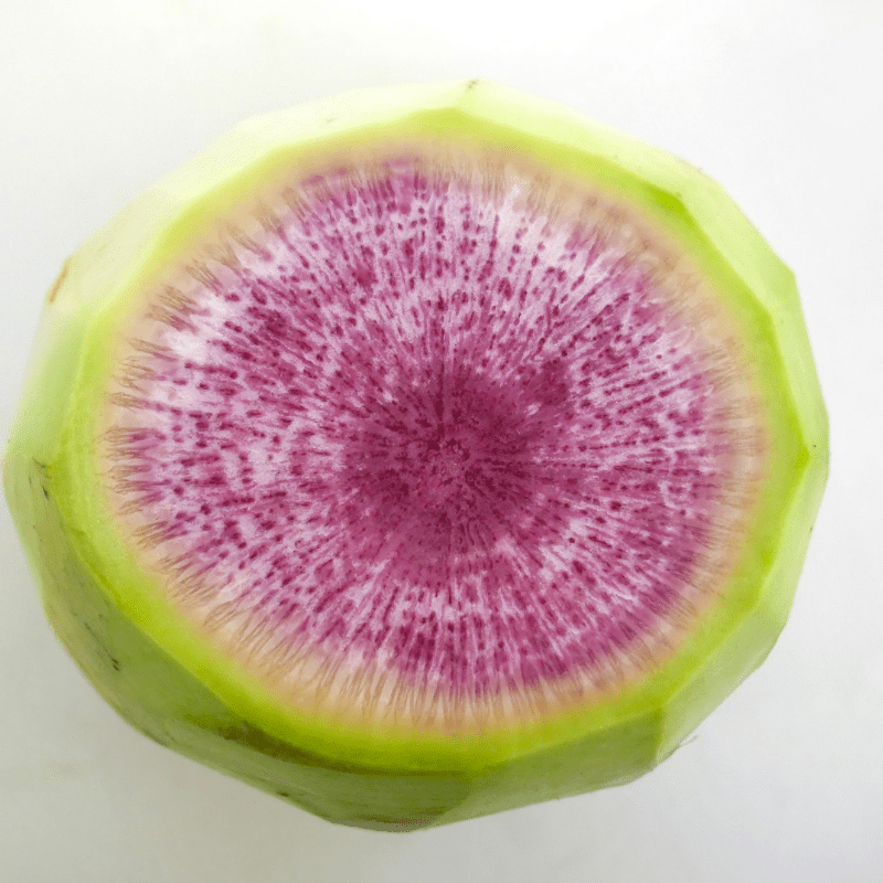 Beautiful watermelon radishes go great in dumplings, stir fry, and make great pickles!