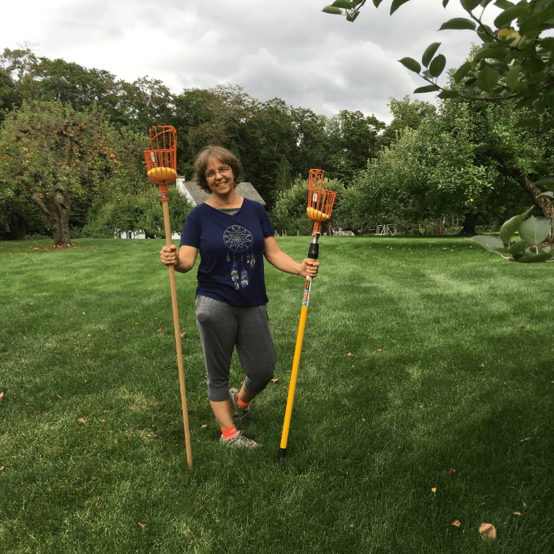 woman holds two apple pickers in the middle of an orchard.