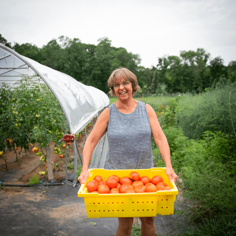 Woman stands holding a yellow tray filled with tomatoes in front of a green house and farm field.