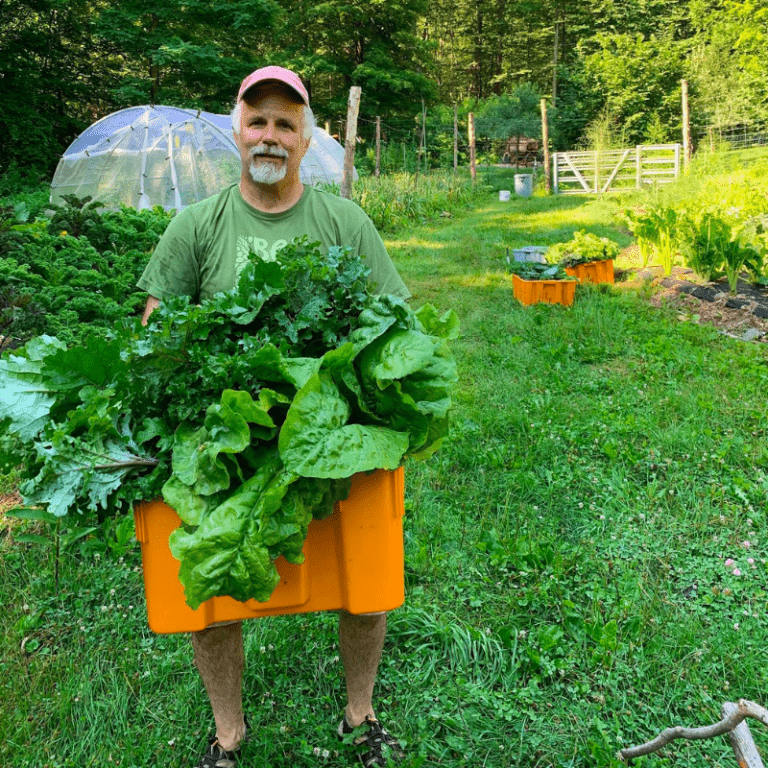 Man holds large bin overflowing with kale, collard greens, and lettuce