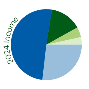 Pie chart of income