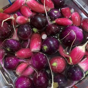 colorful radishes in a tub