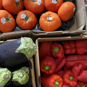 a top view of tomatoes, eggplant, and red peppers with separate produce stickers in boxes