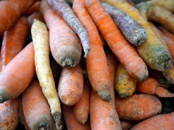 Mature Carrots are still useful(web)