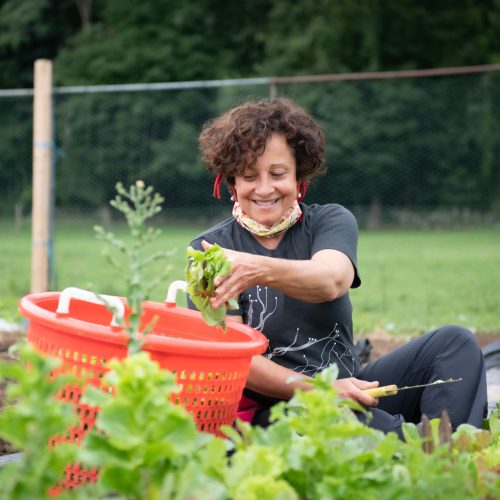 Smiling women at farm sits on the ground cutting lettuce and tossing into bin.