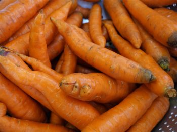 carrots (web)