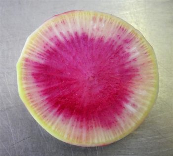 watermelon radish cut (web)